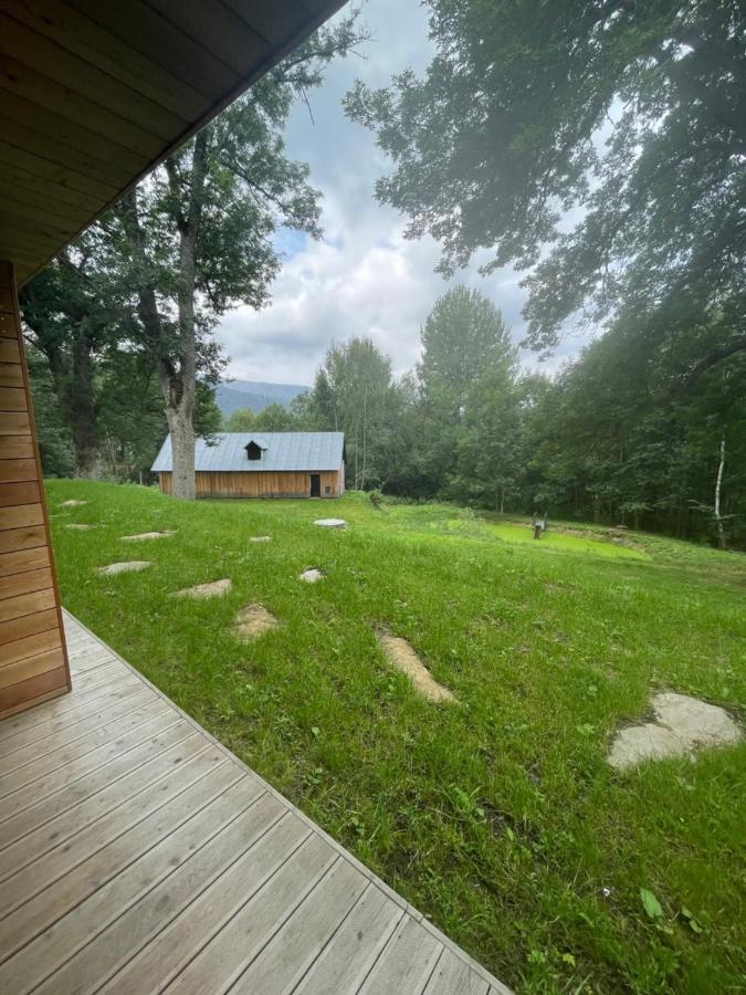 شقة Apartman Pod Jasanem Hojsova Straz Brcalnik Železná Ruda المظهر الخارجي الصورة