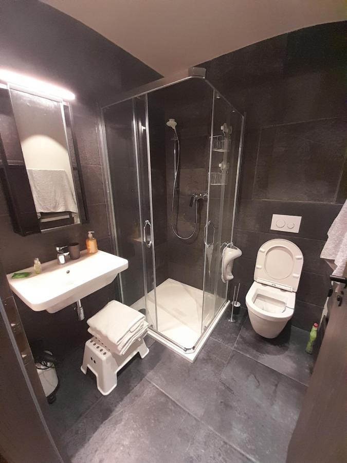 شقة Apartman Pod Jasanem Hojsova Straz Brcalnik Železná Ruda المظهر الخارجي الصورة